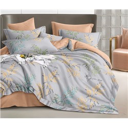 Постельное белье из поплина cтандарт П-3258