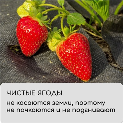 Материал мульчирующий, с перфорацией (4 ряда), 20×1.6 м, плотность 80 г/м², спанбонд с УФ-стабилизатором, чёрный, Greengo, Эконом 30%