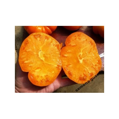 Помидор Крупноплодный — Amana Orange (10 семян)