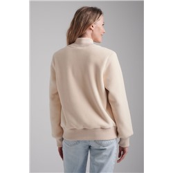 Толстовка ADDIC-SPORT, 1095007