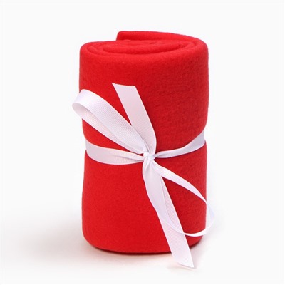 Набор новогодний подарочный "Время подарков" плед и аксессуары