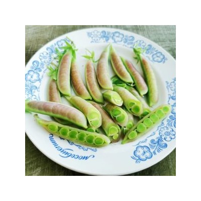 Снеп Горох Усатый Весенний Румянец — Snap Spring Blush Tendril Pea  (10 семян)