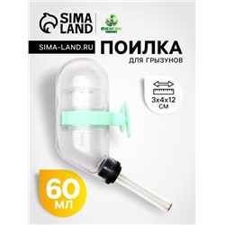 Поилка для грызунов 60 мл, 12 х 4 см, прозрачная с зелёным креплением