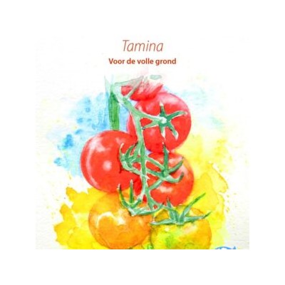 Помидоры Тамина Яблонька России — Tamina Tomato (10 семян)