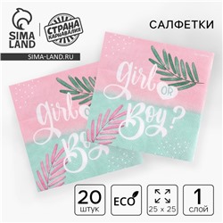 Салфетки «Girl or Boy», 25х25см, набор 20 шт.