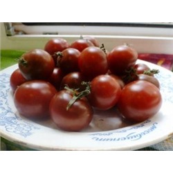 Помидоры Black Cherry — Блек Черри, Чёрные Черри (10 семян)