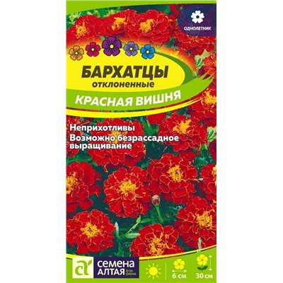 Бархатцы Красная Вишня/Сем Алт/цп 0,2 гр.