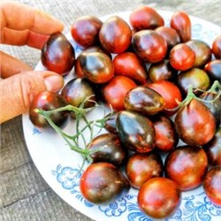 Помидоры Синий Кейс — BLUE KEYES Tomato (10 семян)