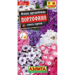 Флокс Портофино, смесь сортов