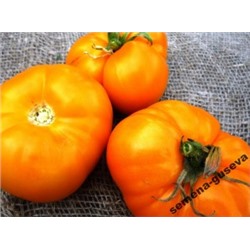 Помидоры Big Orange (10 семян)