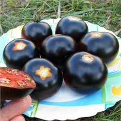 Помидоры Каштановый Шоколадный — Chestnut Chocolate Tomato (10 семян)