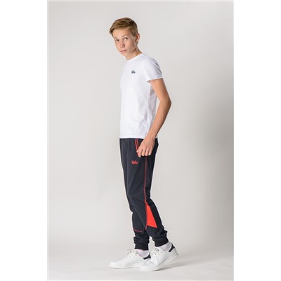 Спортивные брюки М-1103: Тёмно-синий / Красный
