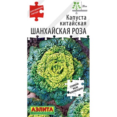 Капуста китайская Шанхайская роза