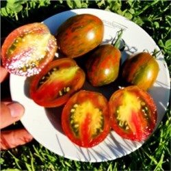 Помидоры Победная Улыбка — Victoria Smile Tomato (10 семян)