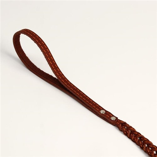 Поводок кожаный плетеный "Коса", 1.25 м х 1.1 см, коричневый 1_тип Поводки, Цвет коричневый