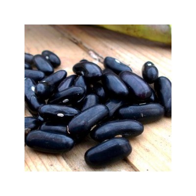 Фасоль Чероки Чёрная Кустовая — Black Bush Cherokee Bean (15 семян)