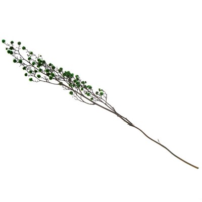 Сухие цветы «Молочай Миля» , 25 г, длина — 70 см, цвет зелёный