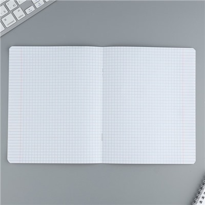 Тетрадь 24 листов в клетку «Мрамор», обложка мелованный картон, 5 видов МИКС