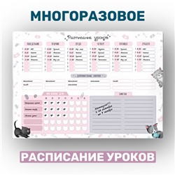 РАСПИСАНИЕ УРОКОВ ЛАМИНИРОВАННОЕ "KITTY" 30х42 см (2412)