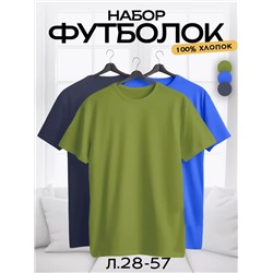 НАБОР ФУТБОЛКА МУЖСКАЯ (РАЗНОГО ЦВЕТА), код 4690911