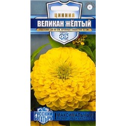 Цинния Великан желтый