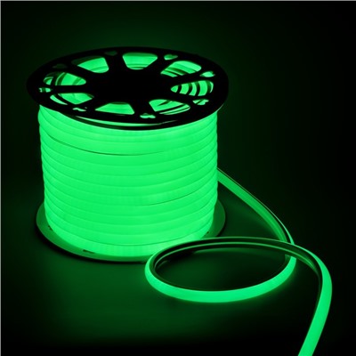 Гибкий неон Luazon Lighting 16 мм D-образный, IP65, 50 м, SMD2835, 120 LED/м, 220 В, свечение зелёное