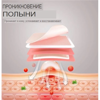 RtopR Wormwood Health Патч для ног 10шт.