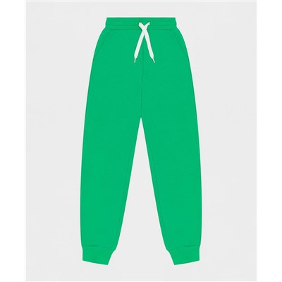 брюки зеленый