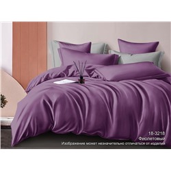 Комплект постельного белья (КПБ) Сатин гл/кр "Luxor" диз. № 18-3218 (Фиолетовый)