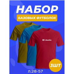 НАБОР ФУТБОЛКА МУЖСКАЯ (РАЗНОГО ЦВЕТА), код 4690900