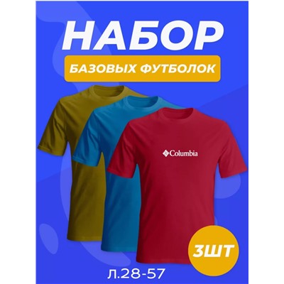 НАБОР ФУТБОЛКА МУЖСКАЯ (РАЗНОГО ЦВЕТА), код 4690900