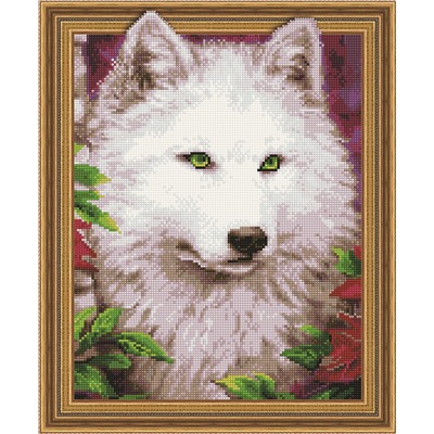 Алмазная картина на подрамнике Белая волчица 40х50