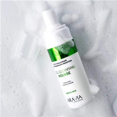 Aravia Мусс очищающий с охлаждающим эффектом с алоэ вера и аллантоином / Cool Cleansing Mousse, 160 мл