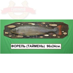 Панно Рыба муляж (Таймень,Форель) 96*24см