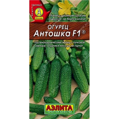 Огурец Антошка F1 ®