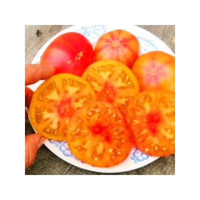 Помидоры Головокружительный Русский — Russian Swirl Dwarf Tomato (10 семян)