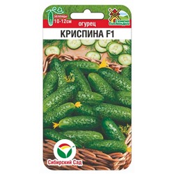 Огурец Криспина F1