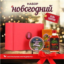 Новогодний набор для поддержания иммунитета "Будь здоров!"