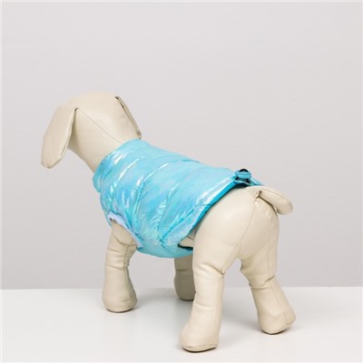 Куртка для собак двухсторонняя с утяжкой, размер 18 (ДС 40 см,ОГ 50 см,ОШ 38 см),голубая