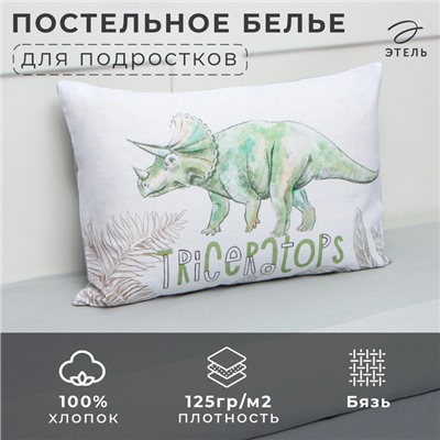 Постельное бельё Этель 1,5 сп Dino world 143х215 см, 150х214 см, 50х70 см -1 шт,