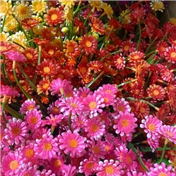 Цветы искусственные декоративные Крупные и мелкие ромашки ПЛАСТИК 5-7 веток 40см