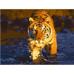 Картина по номерам на картоне Тигр в воде 30х40