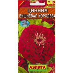 Цинния Вишневая королева