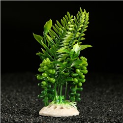 Растение искусственное аквариумное, 18 х 9 х 14 см, зелёное