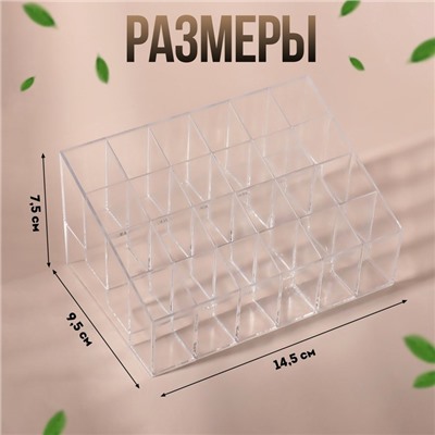 Органайзер для хранения, 24 секции, 14,5 × 9,5 × 7,5 см, в картонной коробке, цвет прозрачный