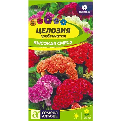 Целозия Высокая смесь гребенчатая/Сем Алт/цп 0,1 гр.