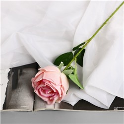 Цветы искусственные "Роза Вивальди" d-7 50 см, розовый