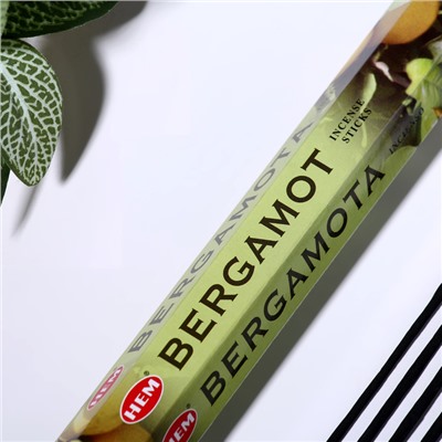 Благовония HEM "Bergamot. Бергамот", 20 палочек в упаковке, шестигранник