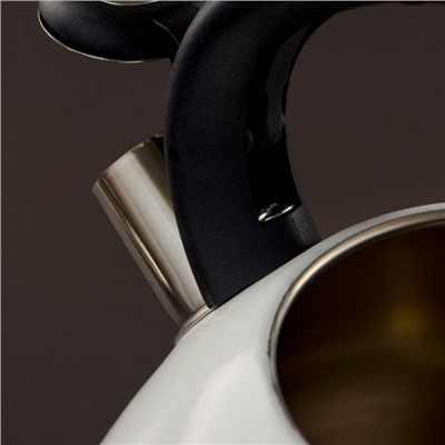 Чайник со свистком 3 л Magic flore,с индикатором нагрева, индукция