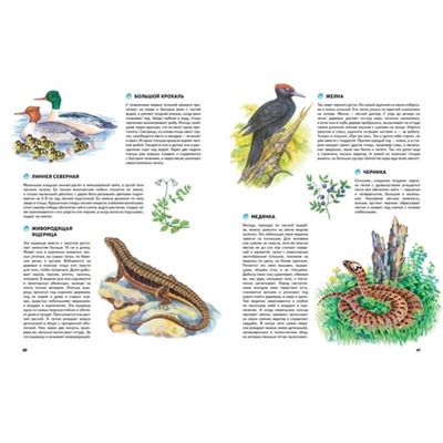 Природа России. Иллюстрированная энциклопедия.Свечников В., Романова Т.